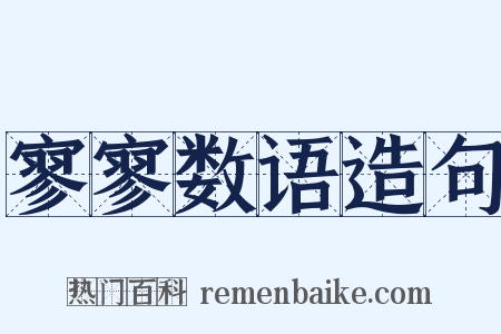 寥寥数语造句是什么意思的图片